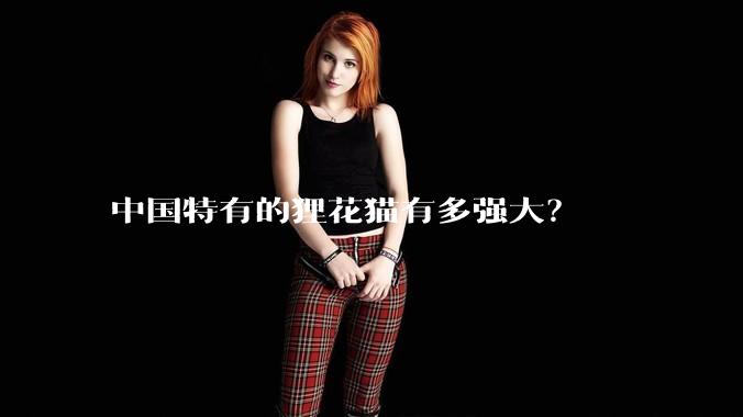 中国特有的狸花猫有多强大？