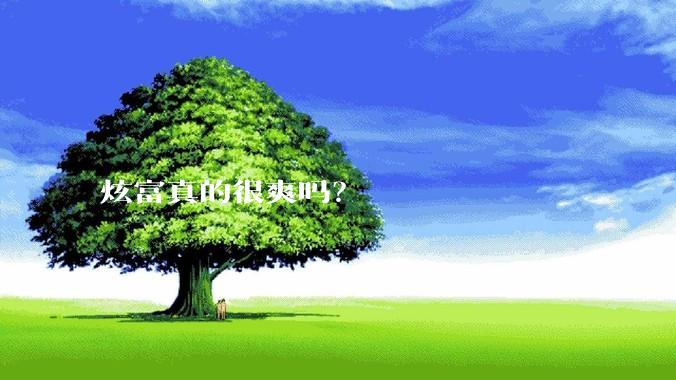 炫富真的很爽吗？